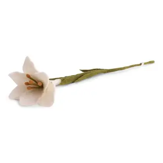 EGS EGS Fair Trade Trumpet Lily White