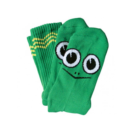 Toy Machine Turtle Boy Socks