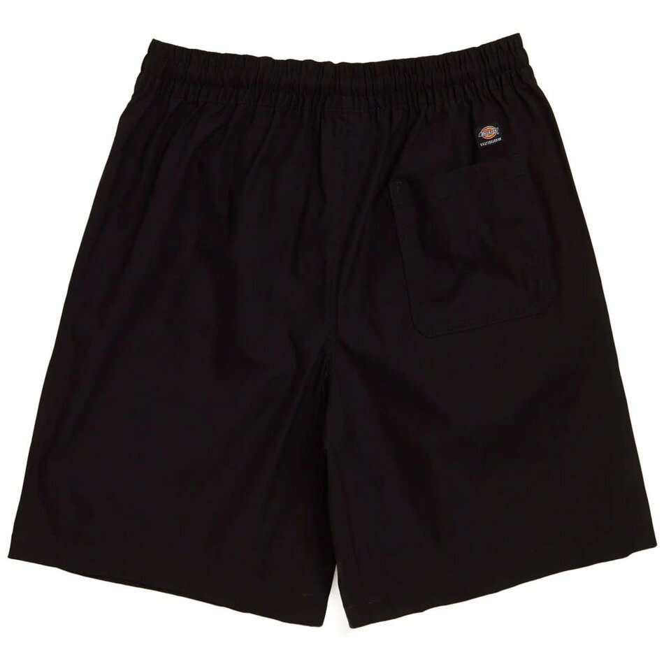 Dickies Loose Fit Regular Waist Work Shorts Black – Mañana Skate Shop