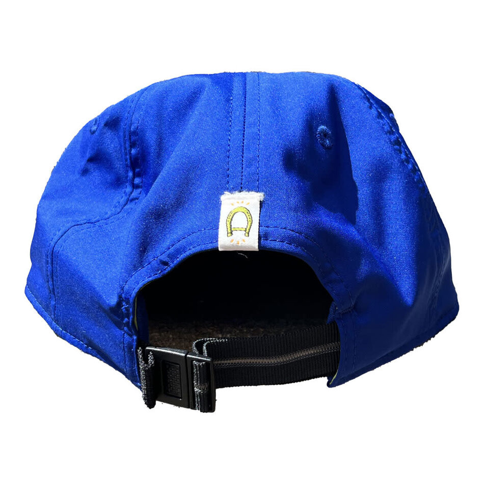 Dickies Dont Trip Low Profile Hat Cobalt Blue