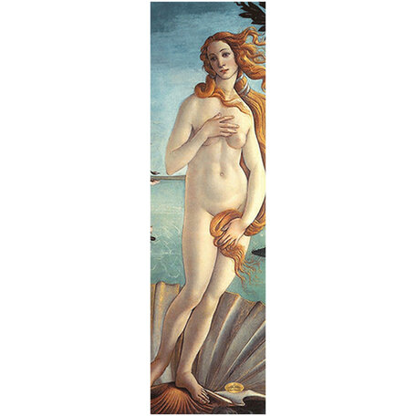 Pvblic Domain Birth Of Venus Graphic Griptape