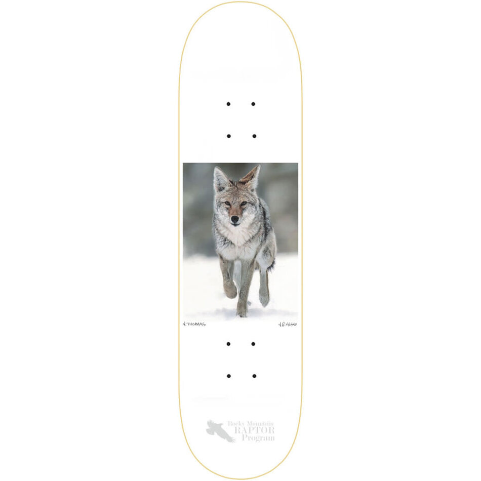 Zero Jamie Thomas Hess Nature Coyote Deck