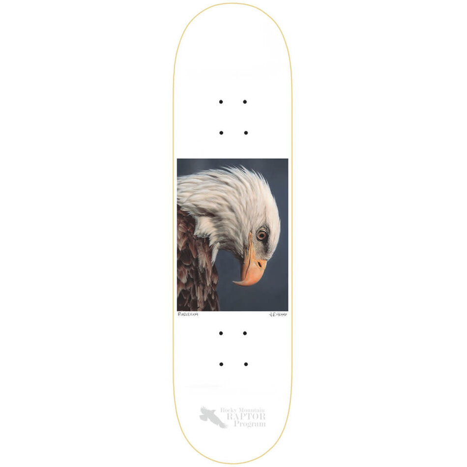 Zero Brandon Burleigh Hess Nature Bald Eagle Deck