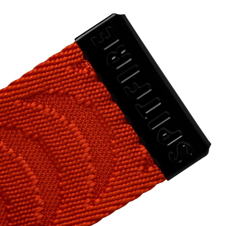 Spitfire Bighead Swirl Cutout Web Belt Black/Orange