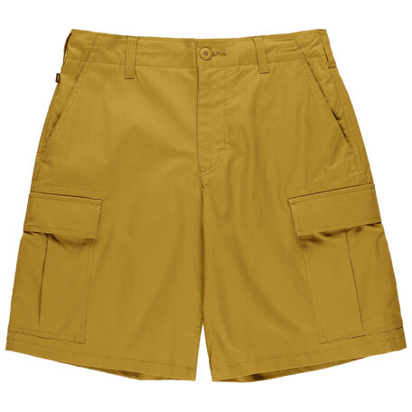 Nike SB Kearny Cargo Short Bronzine
