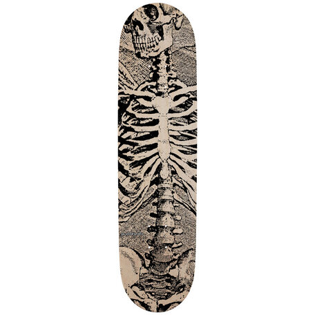Powell Peralta Skull & Sword Skeleton Griptape Clear