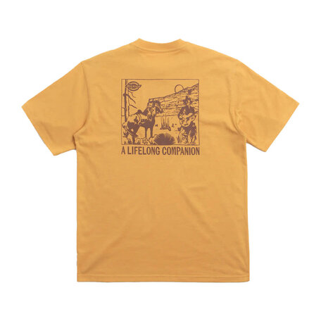 Dickies Companion T-Shirt Oak Bluff