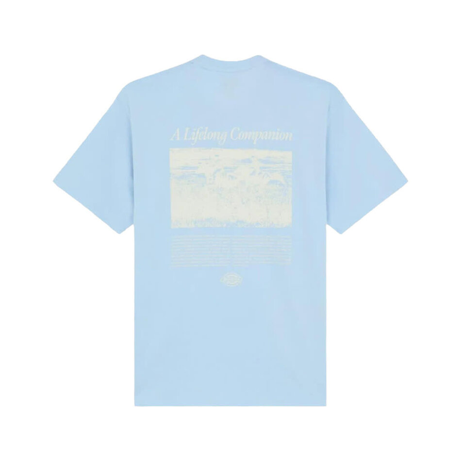 Dickies Companion Script T-Shirt Skyway
