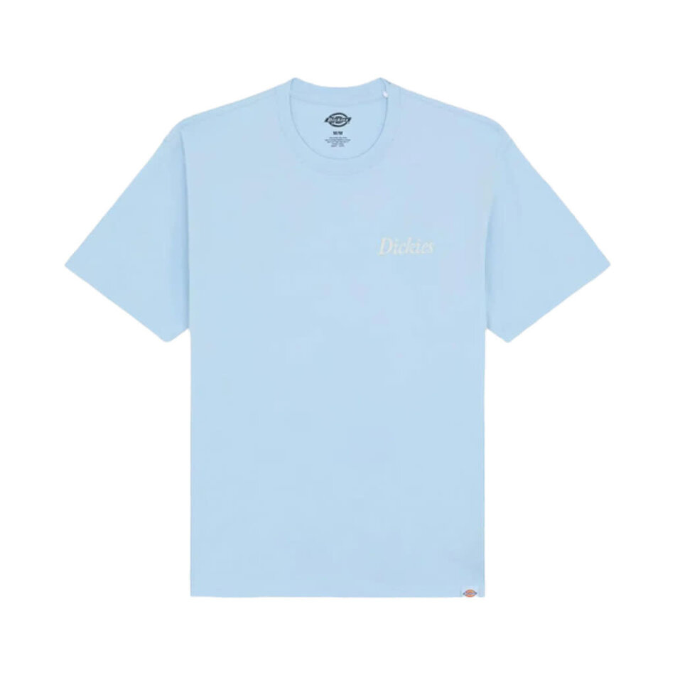 Dickies Companion Script T-Shirt Skyway