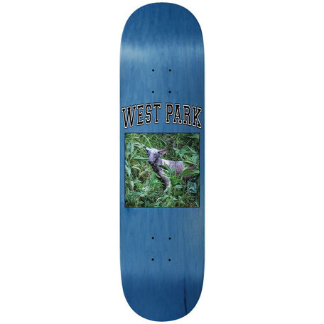 Limosine Aaron Loreth Angel Deck