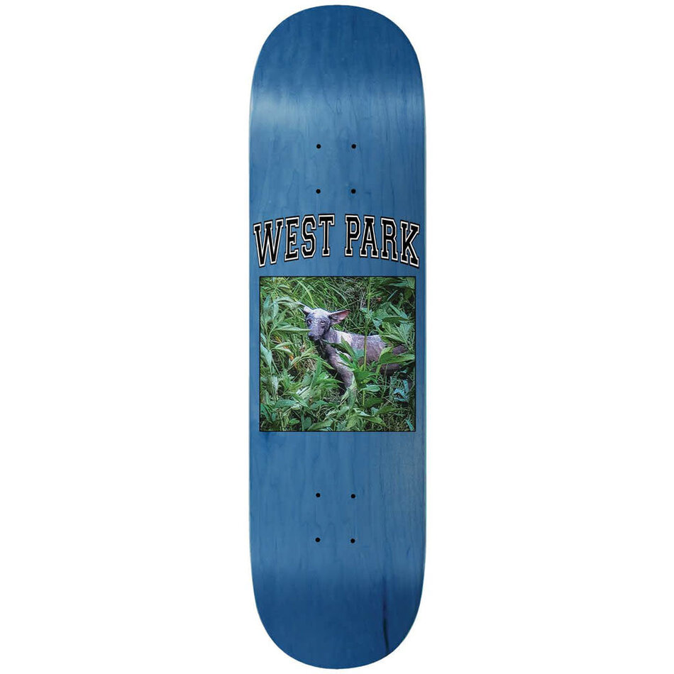 Limosine Aaron Loreth Angel Deck