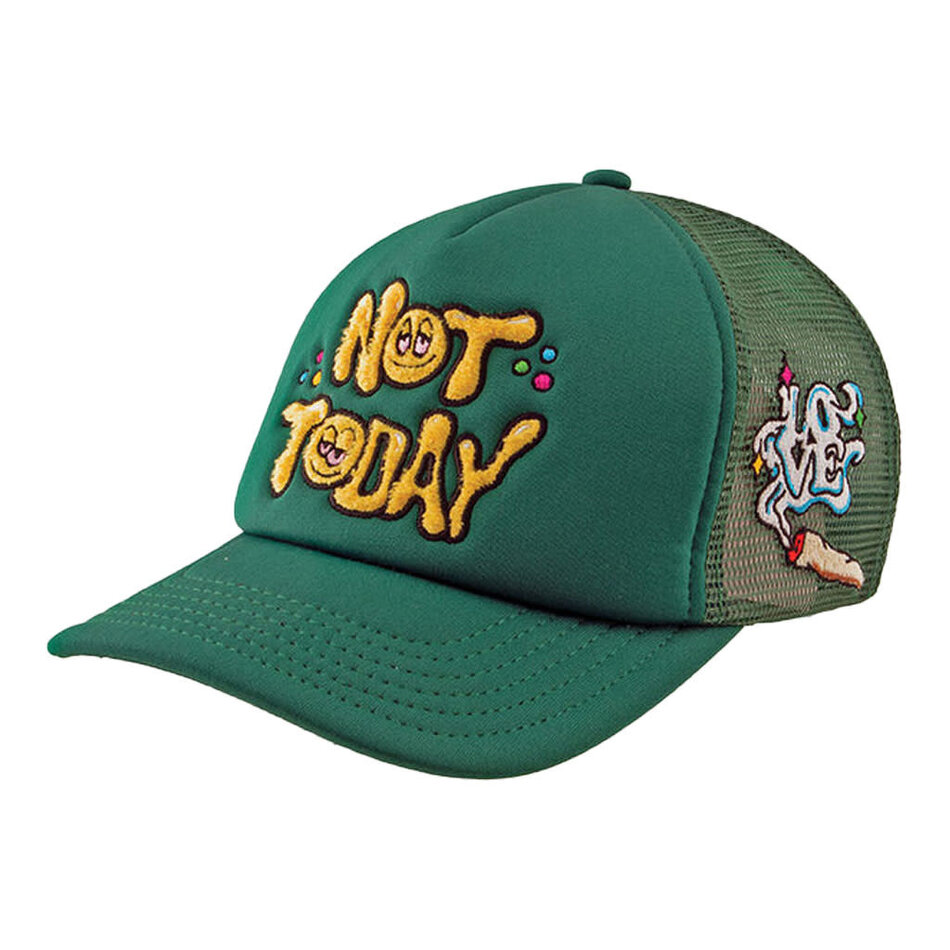 DGK Not Today Trucker Snapback Hat Green