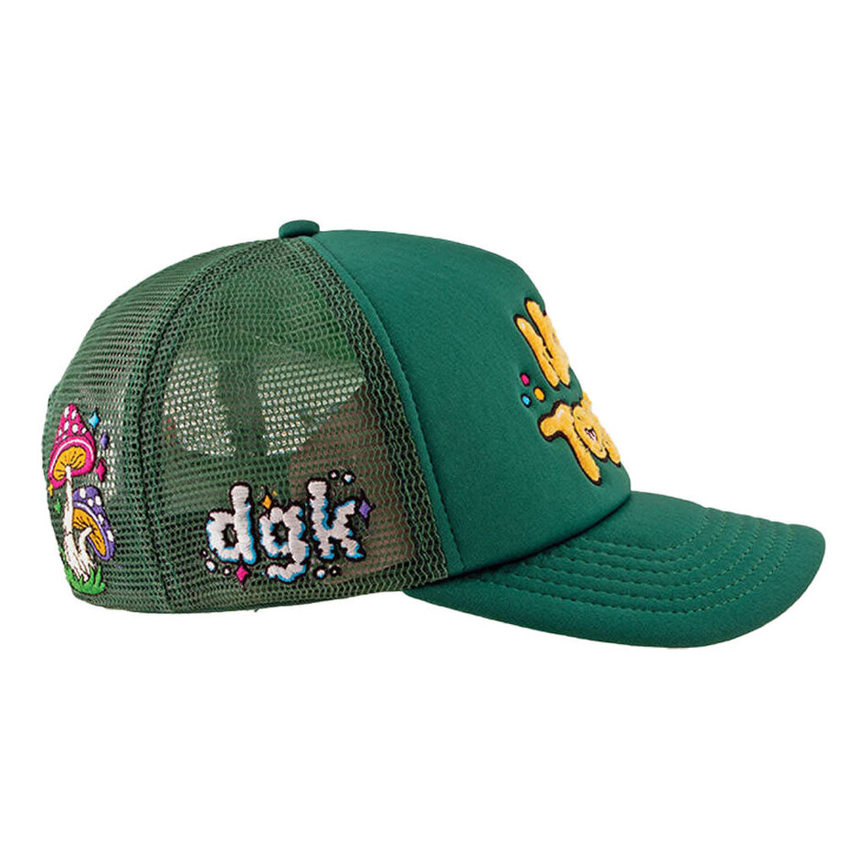 DGK Not Today Trucker Snapback Hat Green