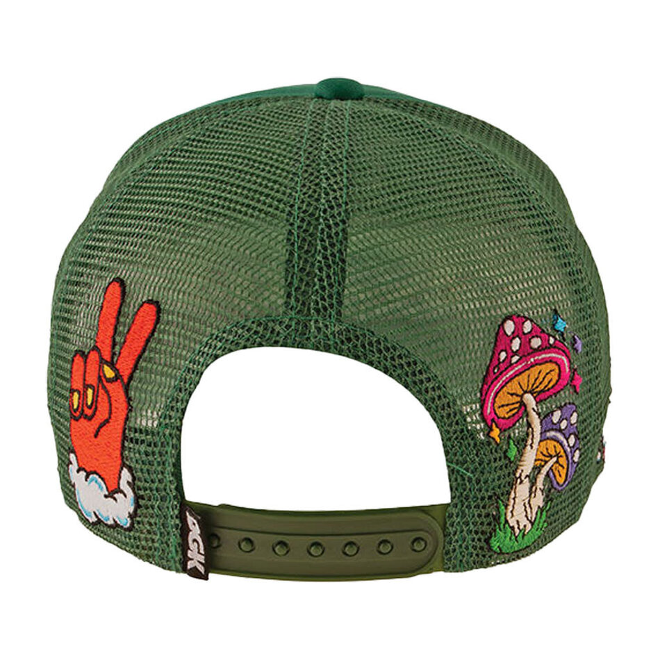 DGK Not Today Trucker Snapback Hat Green