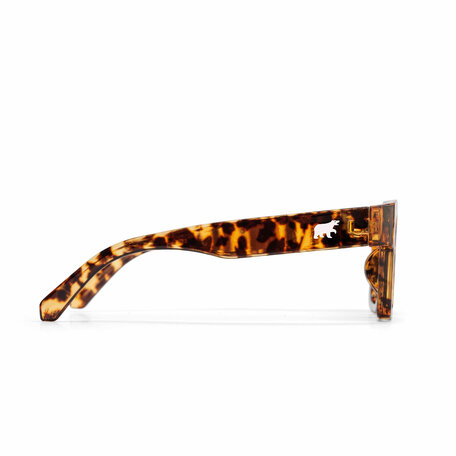 CHPO Max Sunglasses Leopard
