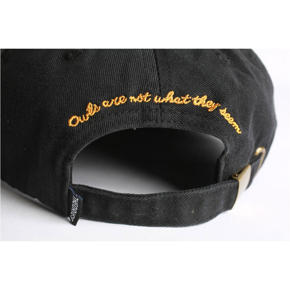 Theories Not What They Seem Strapback Hat Black