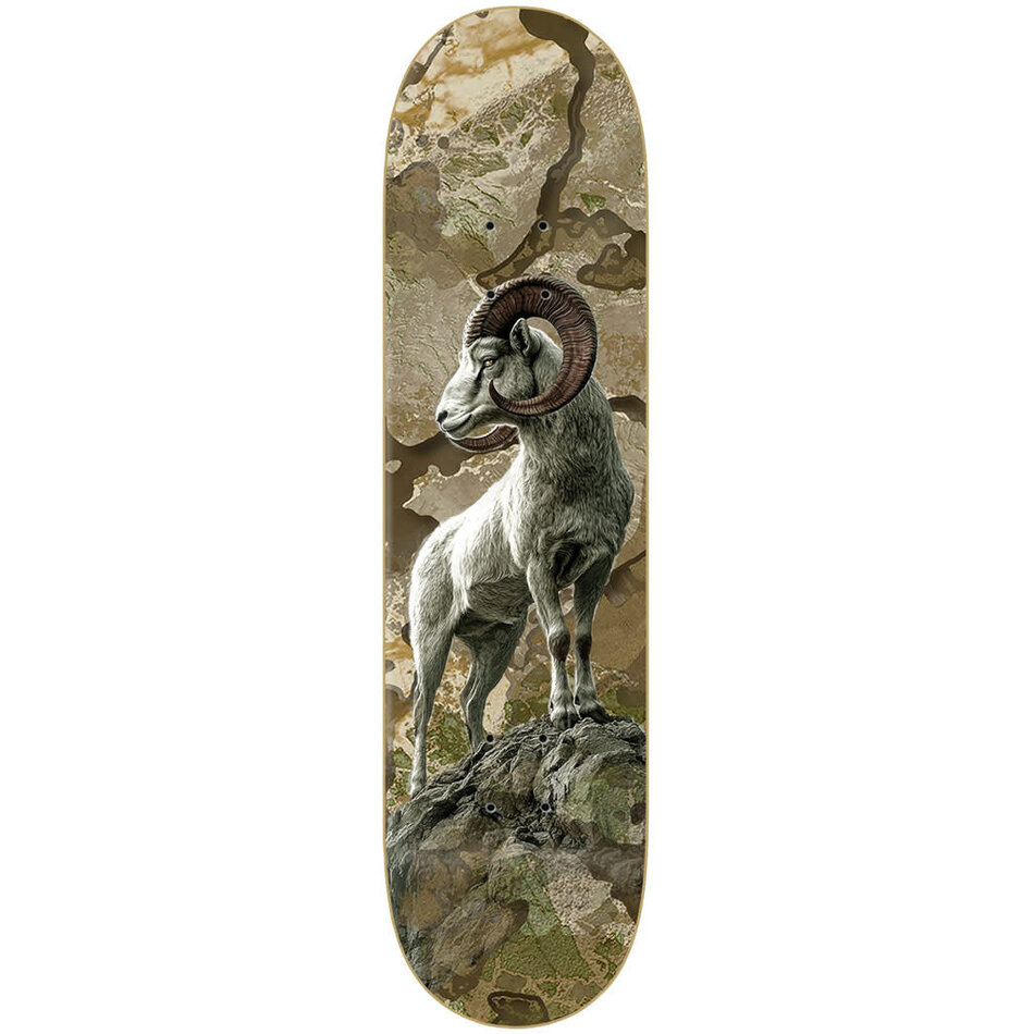 Zero Adam Arunski Realtree Bighorn Deck
