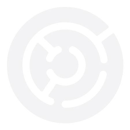 Bones STF V1 Standard 99A Wheels White