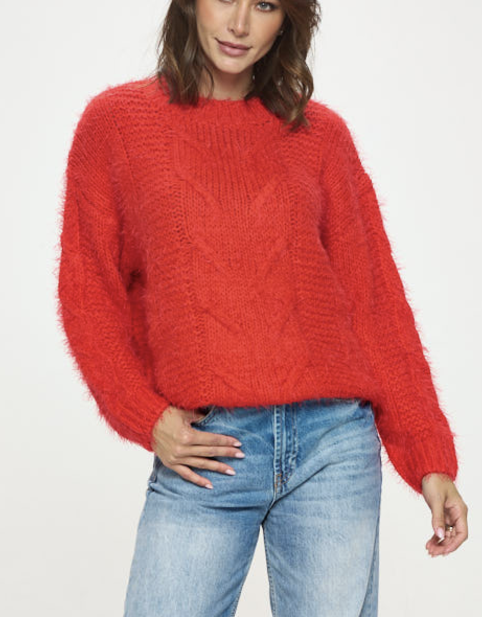 Roundneck Cozy Knit Sweater