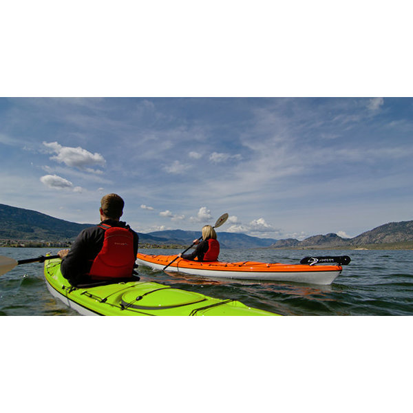 Sporting Intentions Sporting Intentions