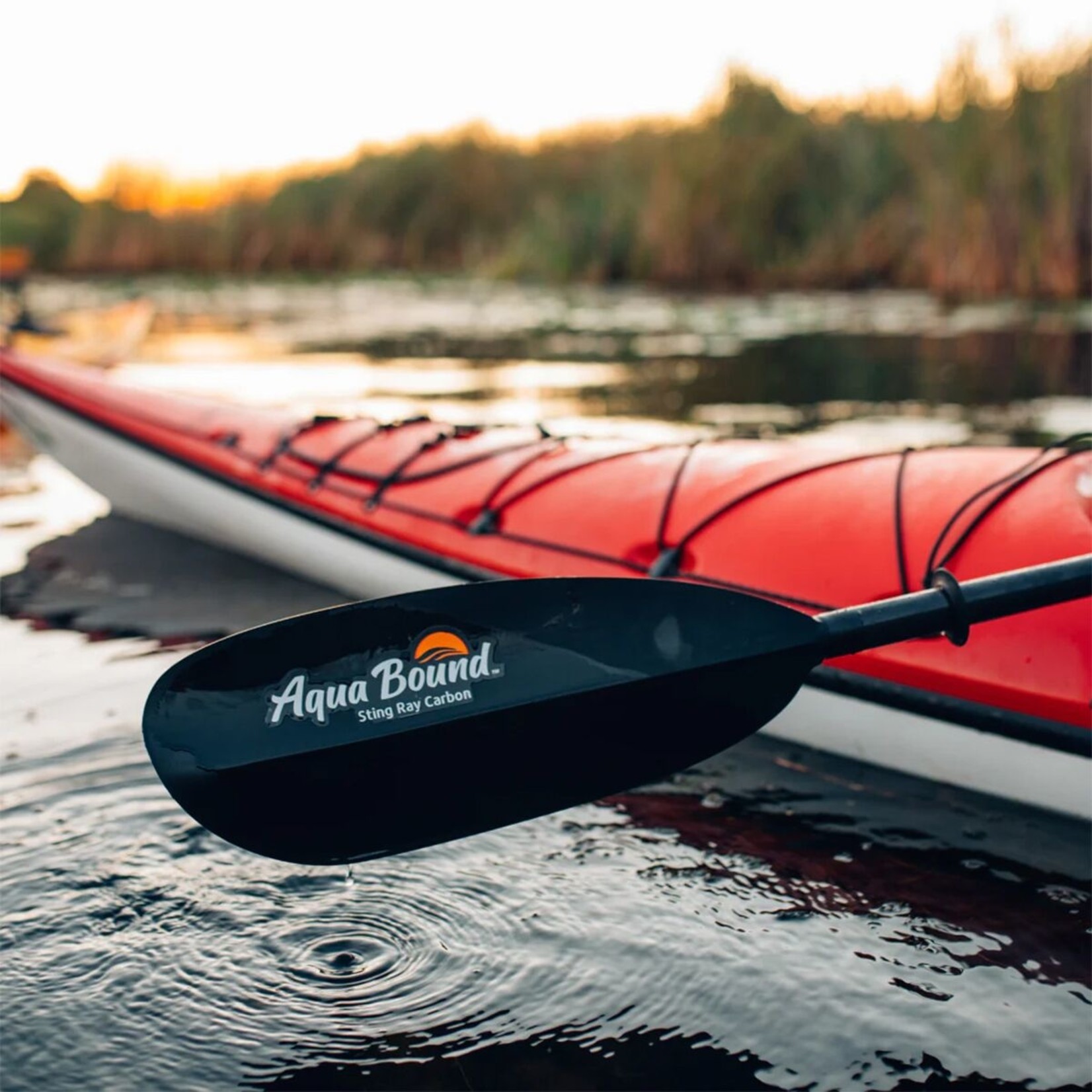 Aquabound Stingray Carbon