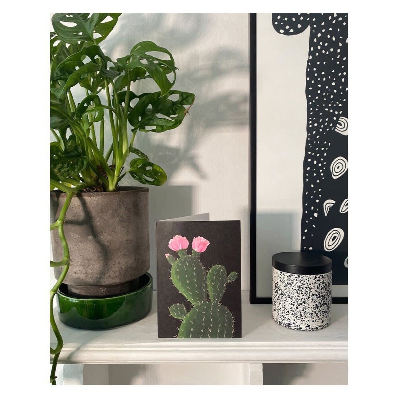 Stengun Drawings Stengun Drawings Greeting Card – Cactus on Black