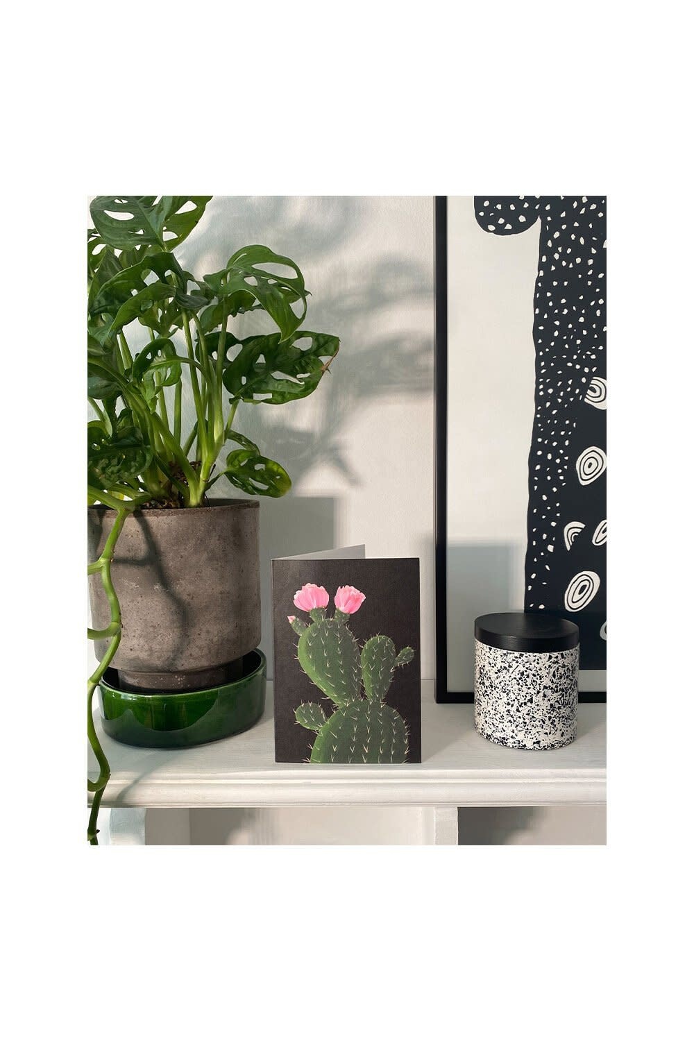 Carte Stengun – Cactus on Black