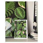 Stengun Drawings Carte Stengun - Houseplant shirt