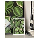 Stengun Drawings Carte Stengun – Houseplant Shirt