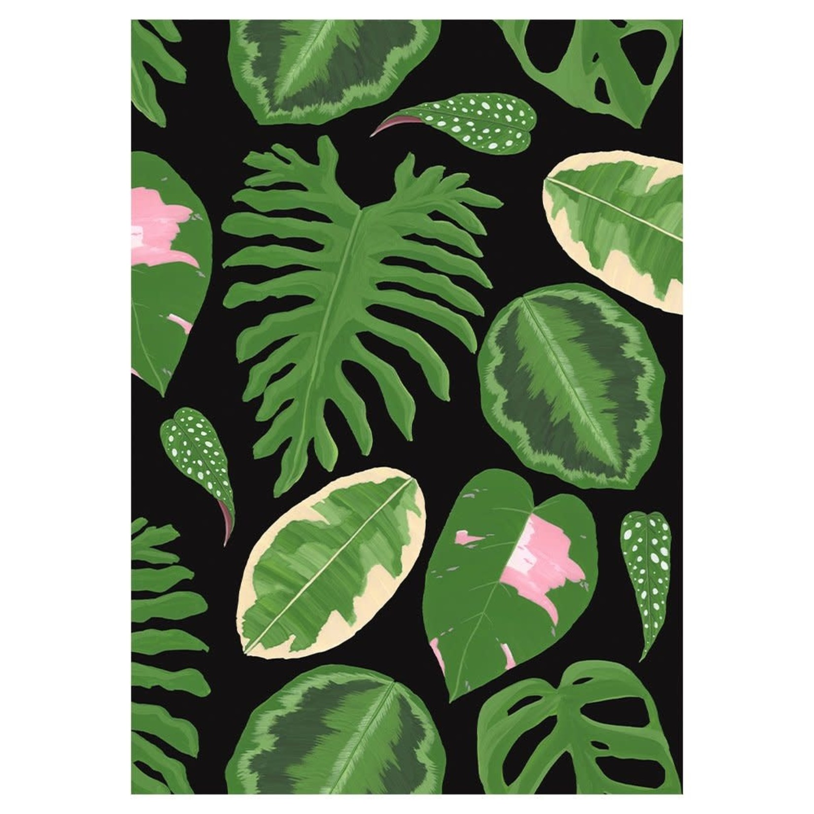 Stengun Drawings Stengun Drawings Greeting Card – Houseplant Shirt