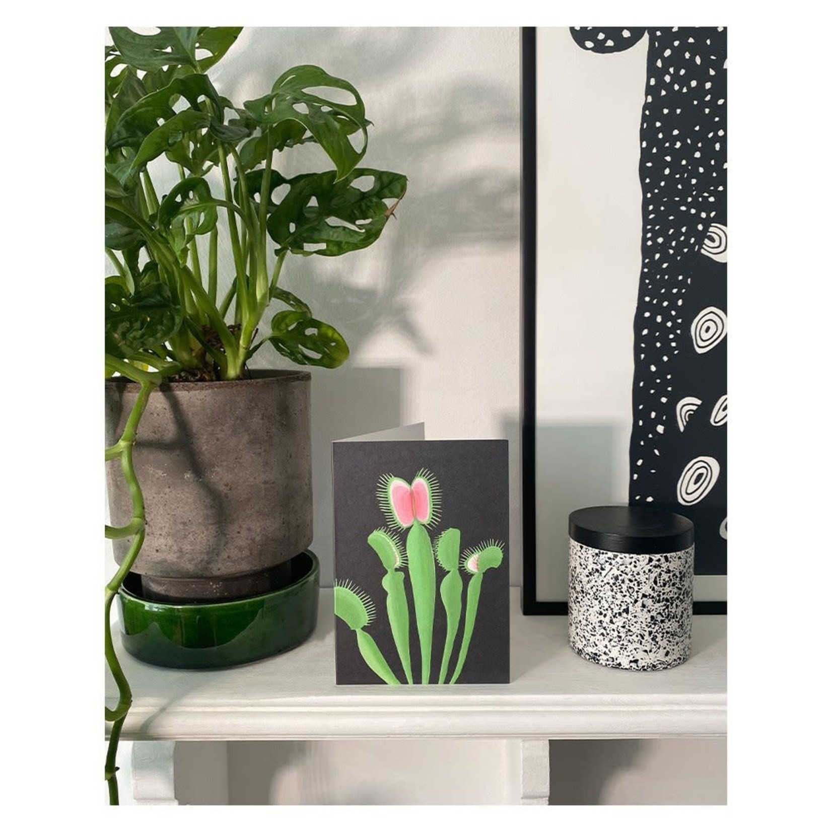 Stengun Drawings Stengun Drawings Greeting Card – Venus Flytrap