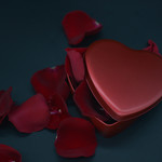 Ensemble de pétales de rose