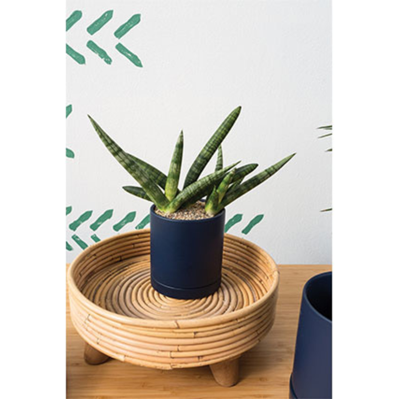 John G. Hofland Ltd. Pot Romey en céramique avec soucoupe