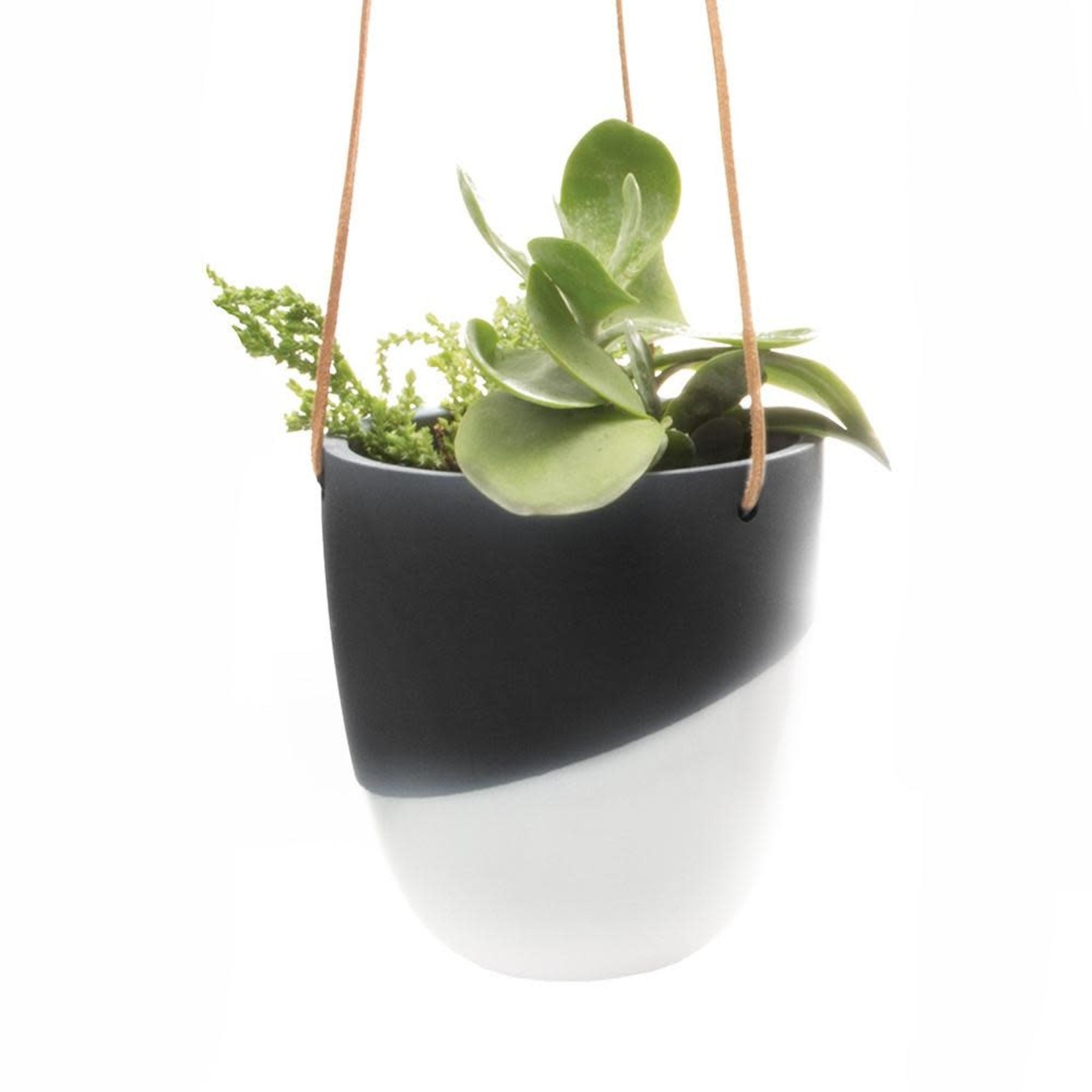 CHIVE Bobbin Ceramic Hanging Planter 5"