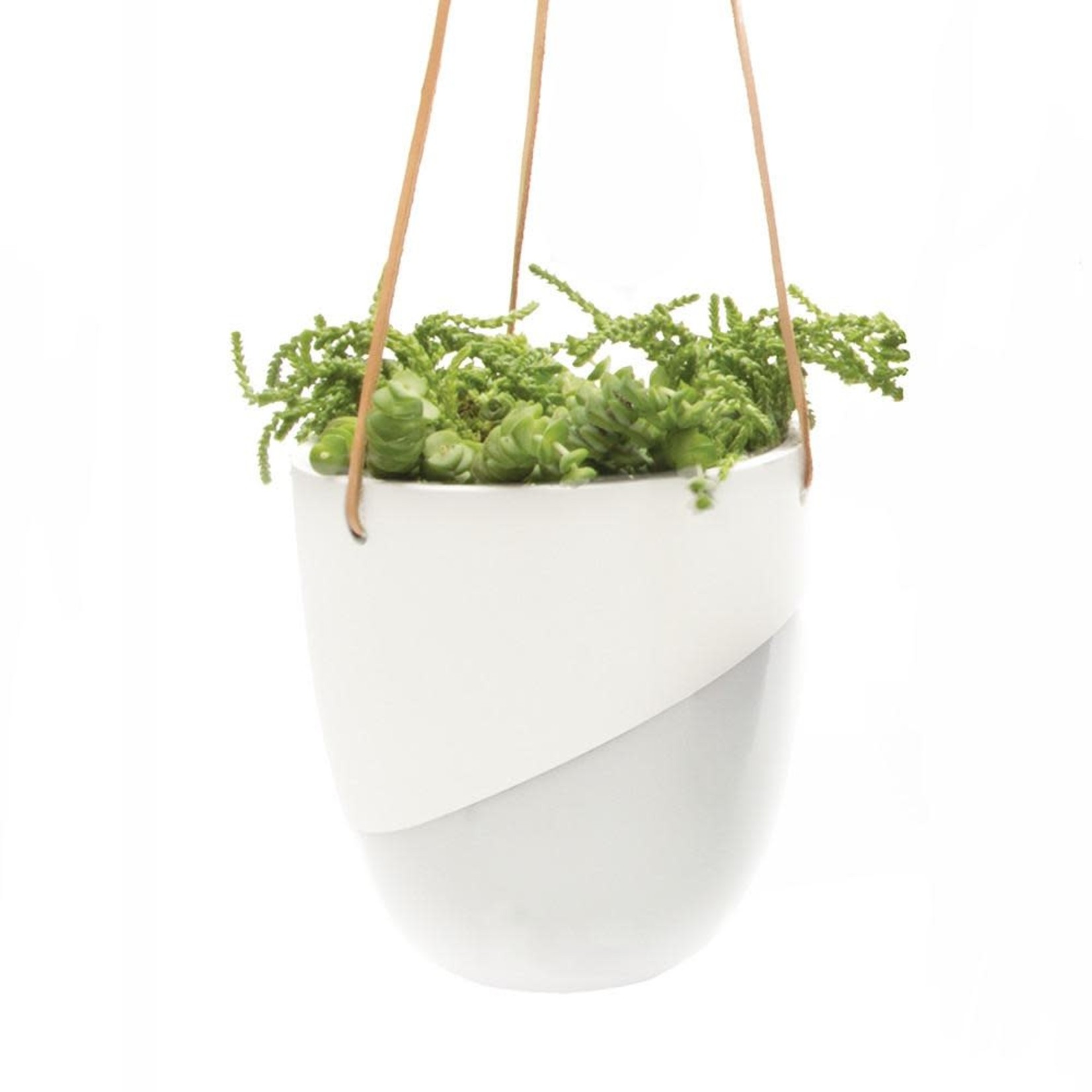 CHIVE Bobbin Ceramic Hanging Planter 5"