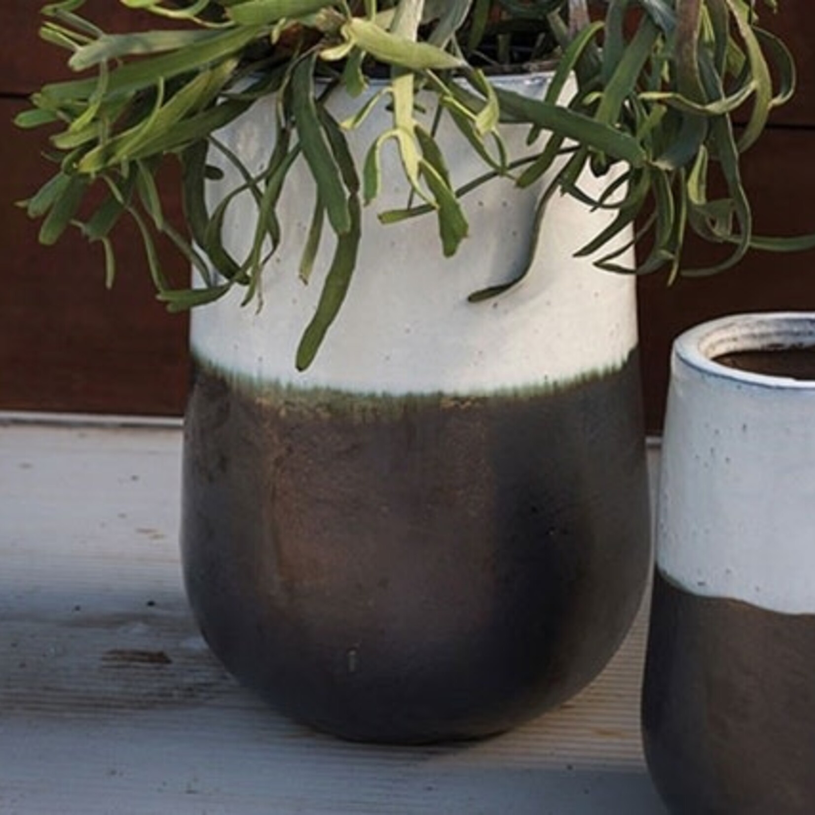Cache-pot en céramique Avalon 9.5''x13.5''