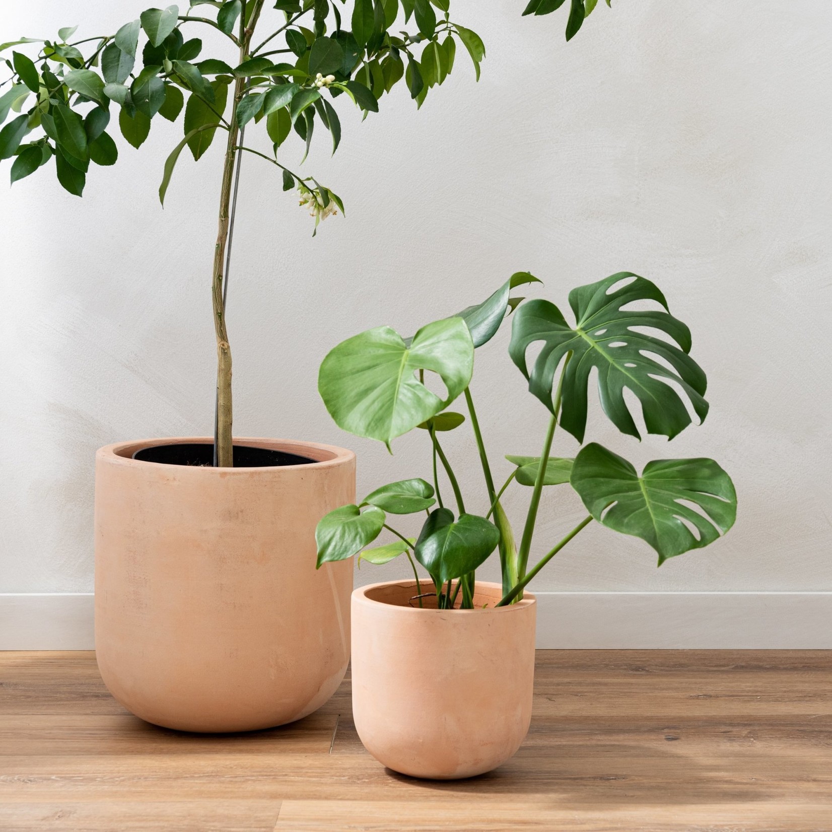 Cache-pot Lerato pour intérieur et extérieur