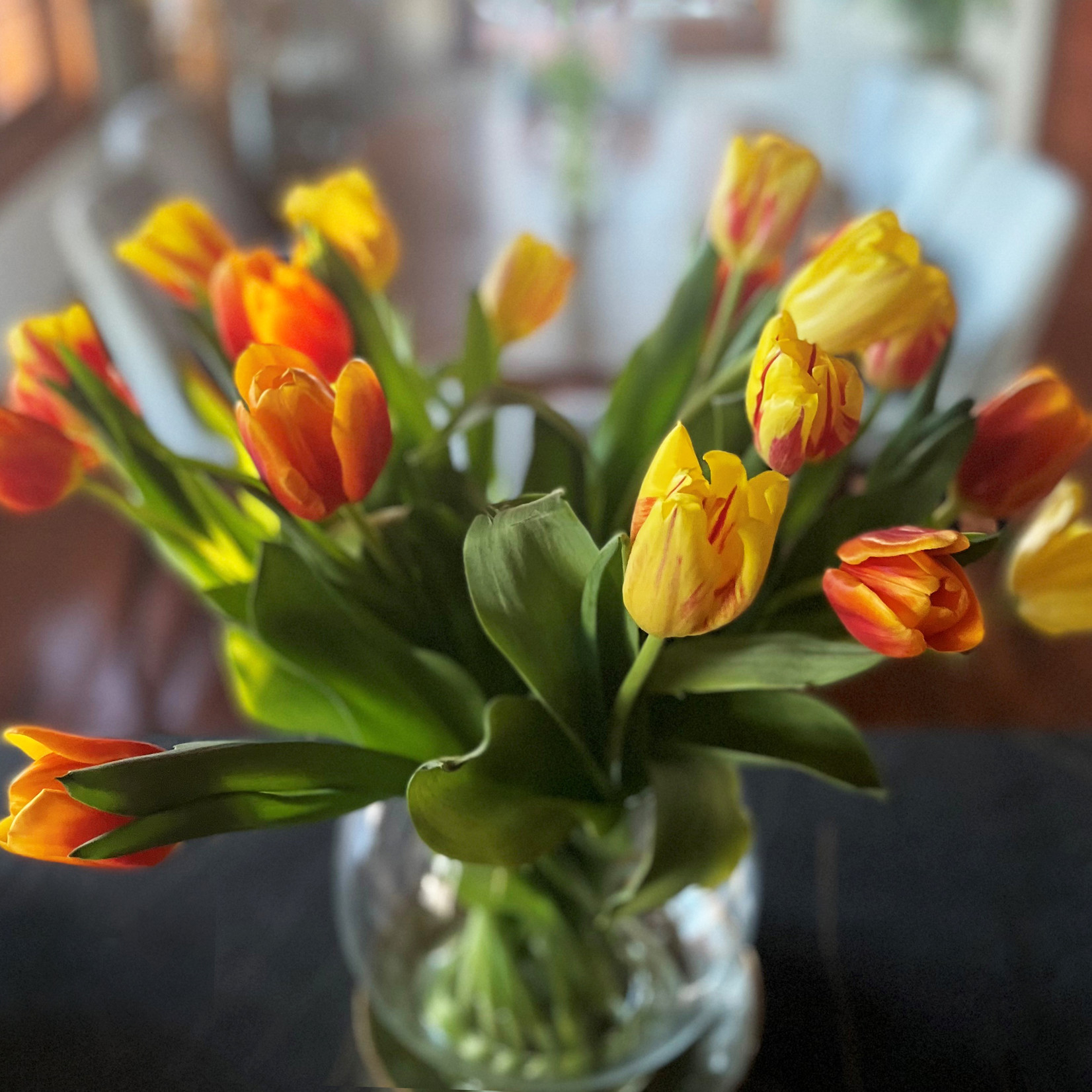 Bouquet de 10 tulipes locales