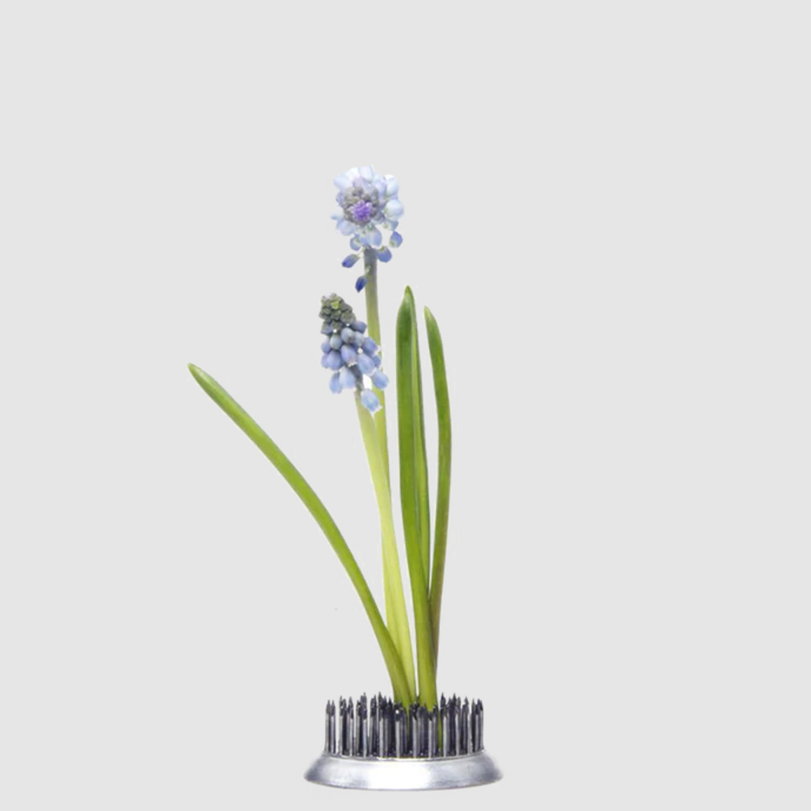 CHIVE Flower Pin Frog (Kenzan)