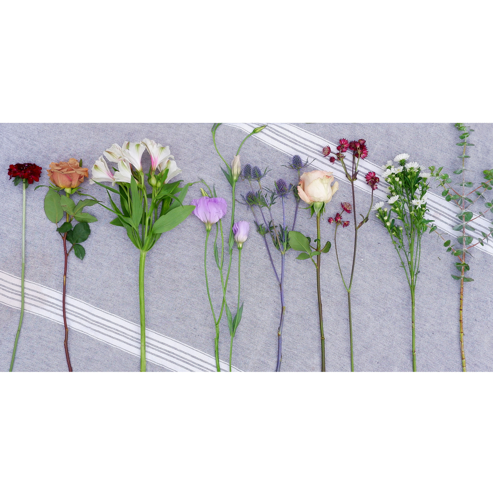 Notre-Dame Bouquet