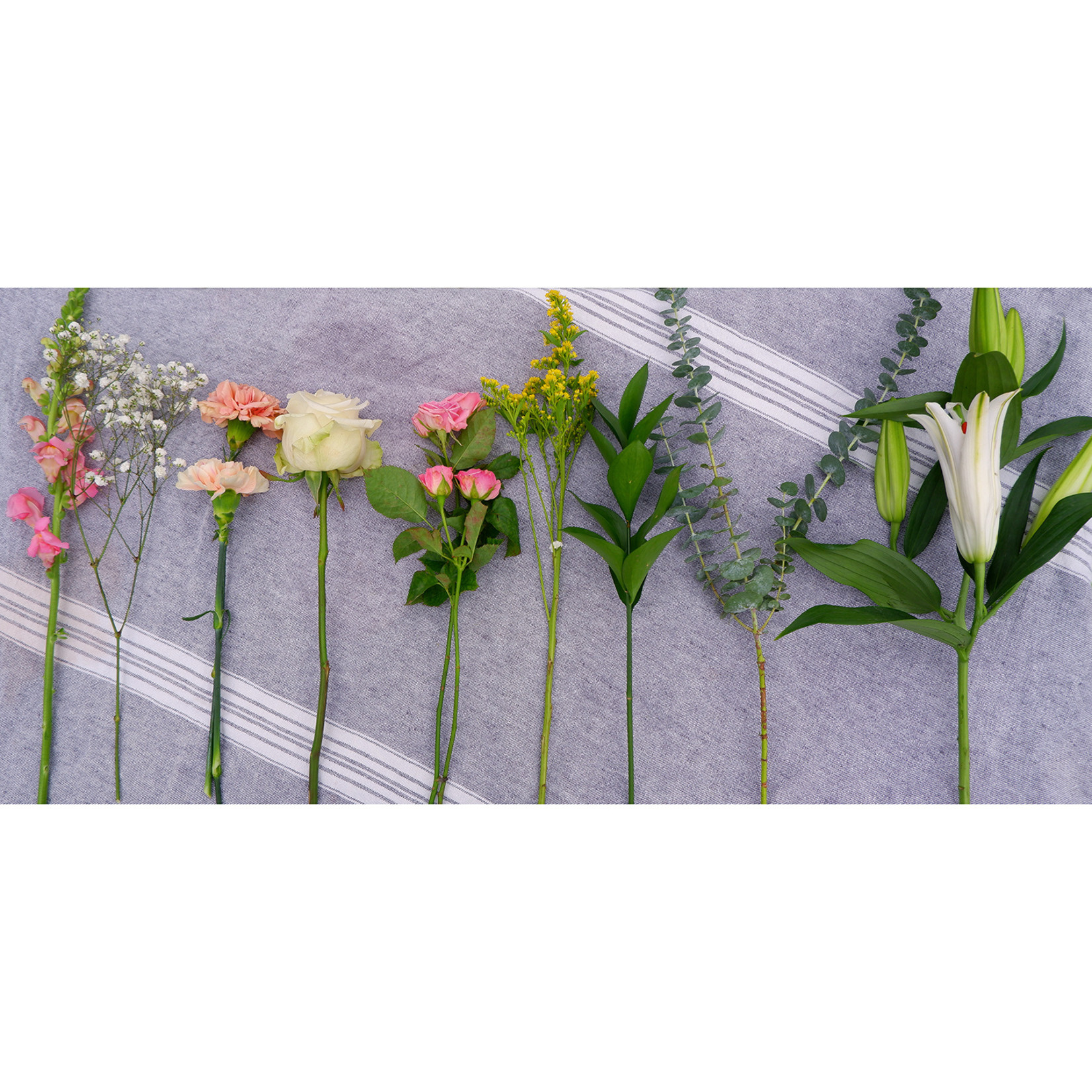 Maisonneuve Bouquet