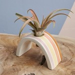 Support à tillandsia Hope