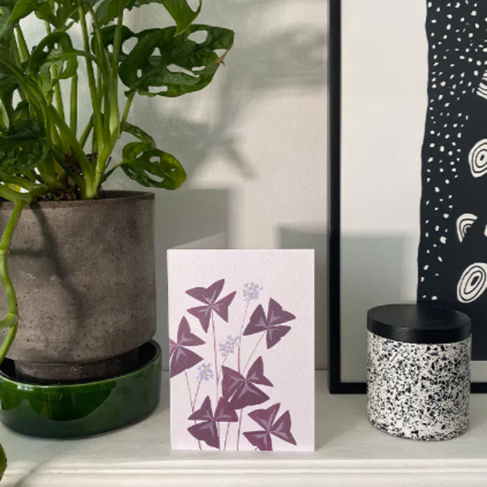 Stengun Drawings Stengun Drawings Greeting Card – Oxalis