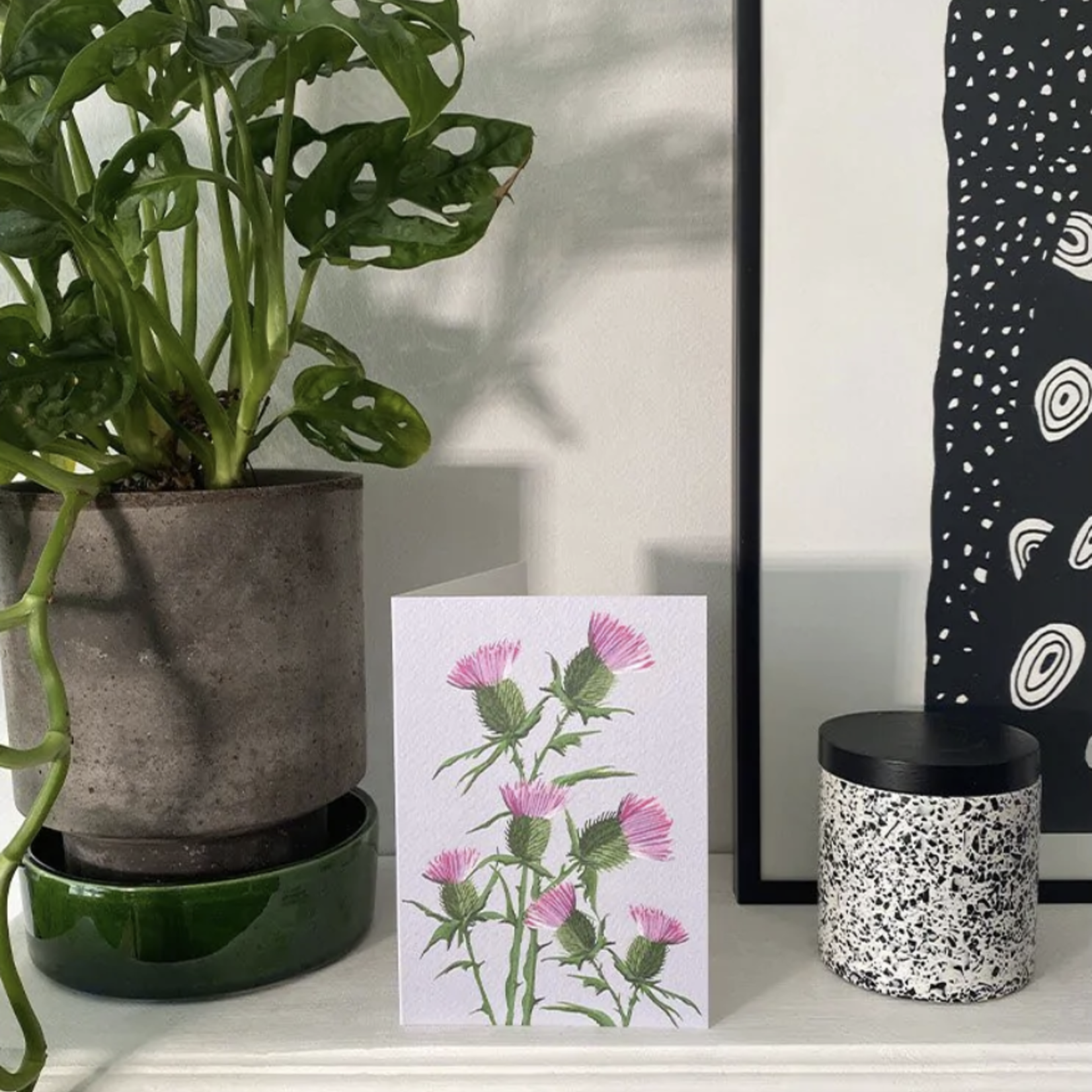 Stengun Drawings Carte Stengun - Skye Thistle