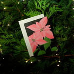 Stengun Drawings Carte Stengun - Christmas Pink Poinsettia