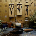 Plant Care