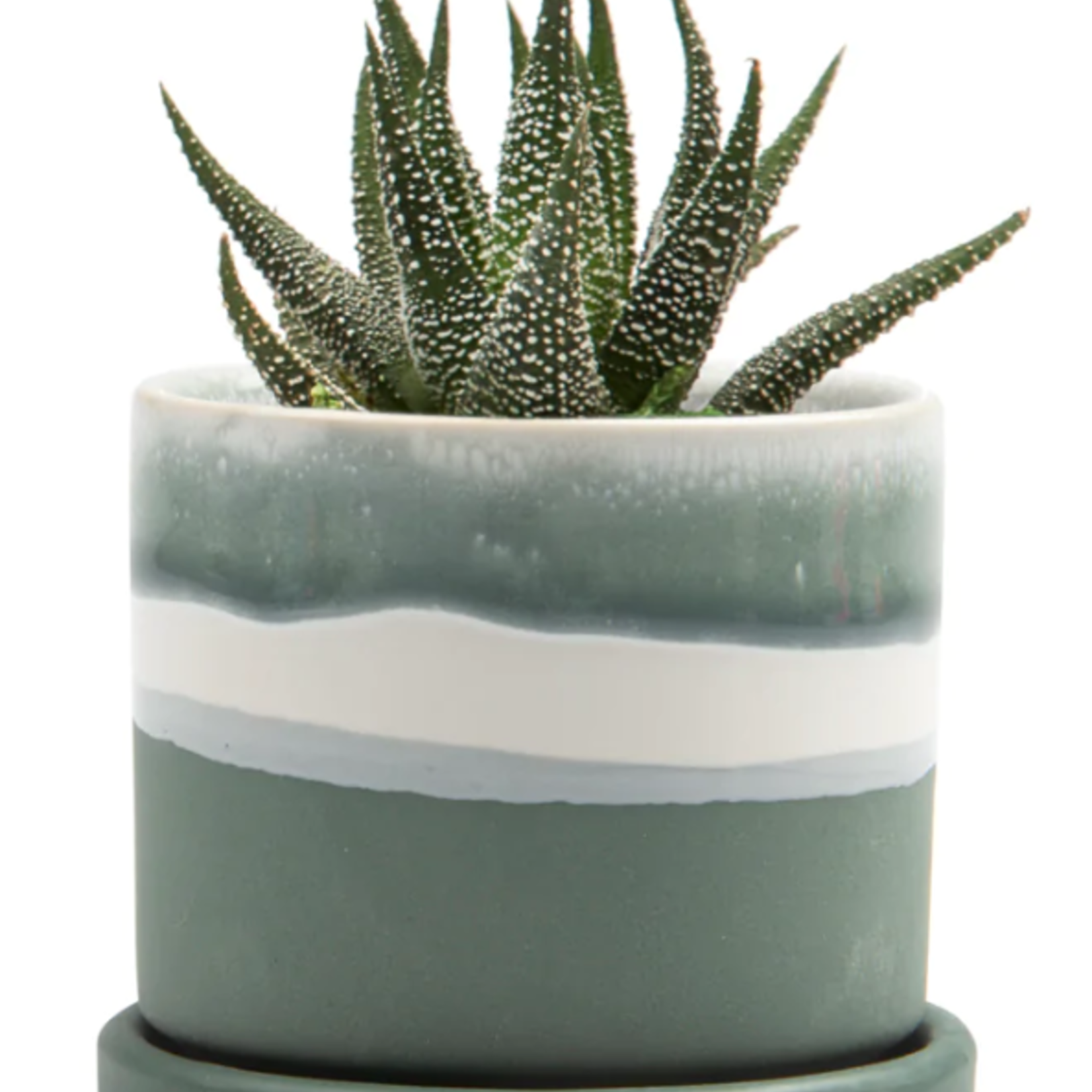 CHIVE Pot avec assiette Minute en 3'' et 5''