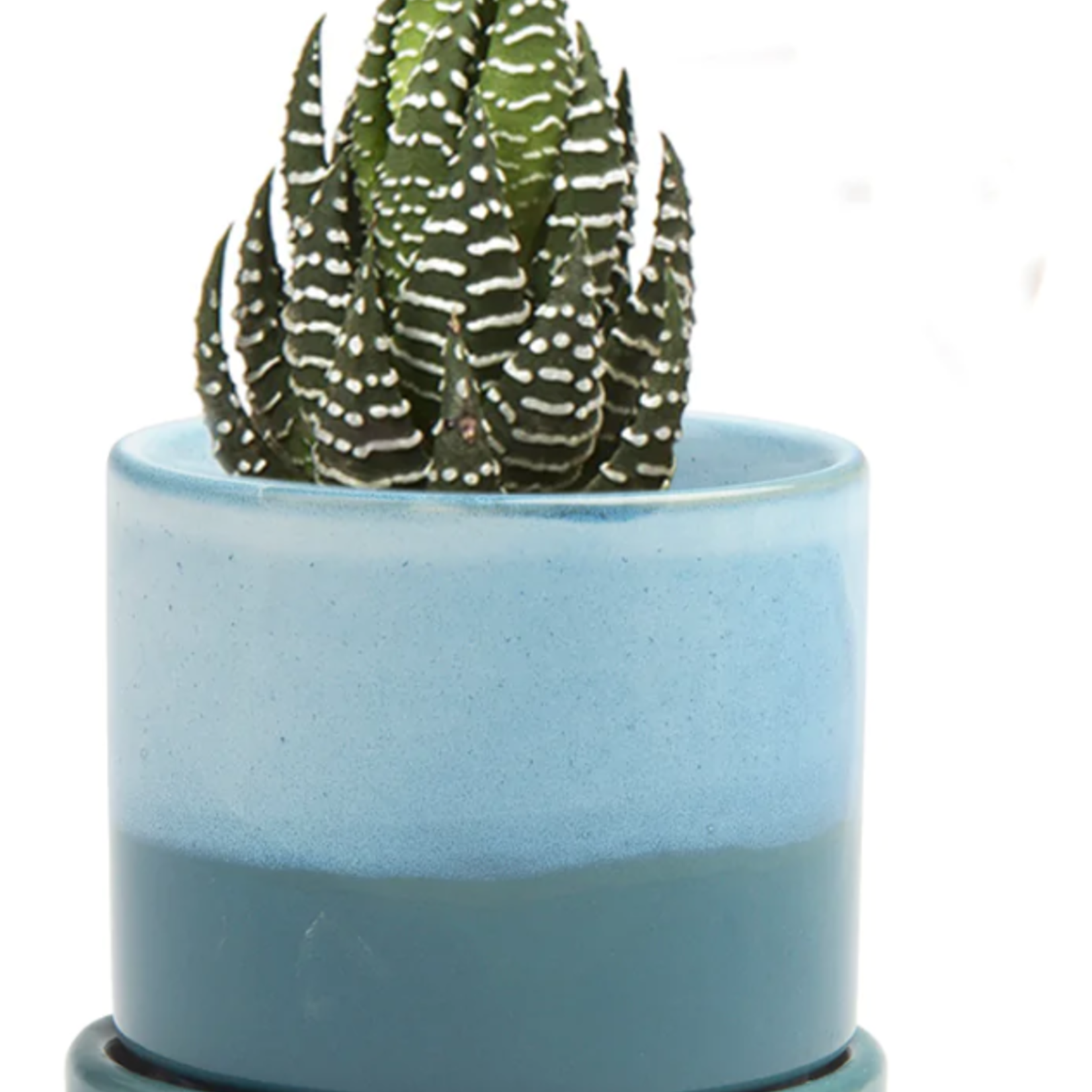 CHIVE Pot avec assiette Minute en 3'' et 5''