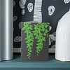 Carte Stengun – Ivy