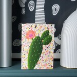 Carte Stengun - Cactus on terrazo